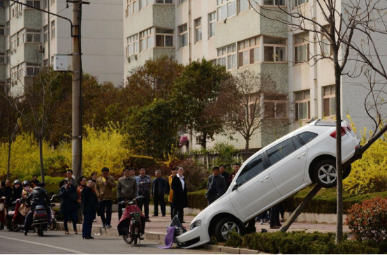绅宝智行专治各种女司机 马路杀手终结者来了193.png